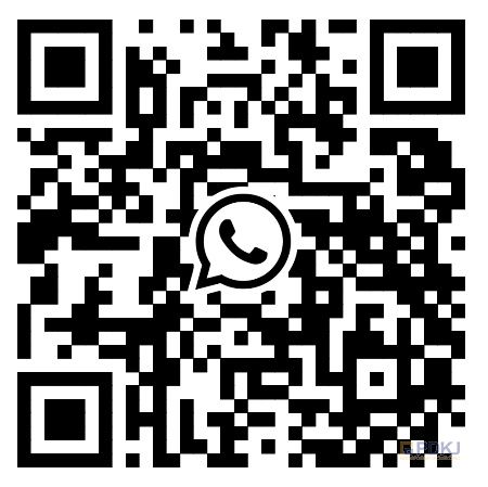 璐WhatsApp
